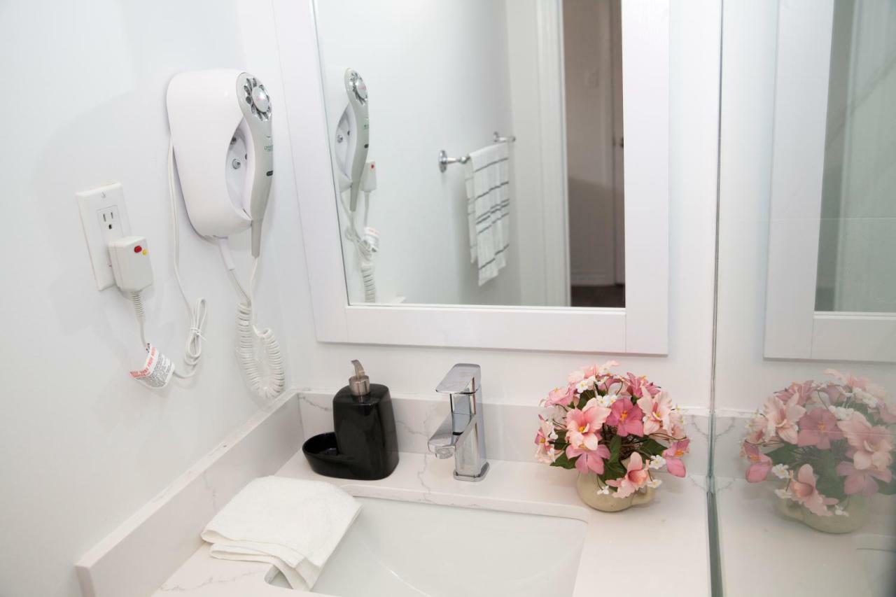 Cozy 3Br 2Bth Lower Unit, A Min To Hwy401, 404 & Dvp Villa Toronto Bagian luar foto